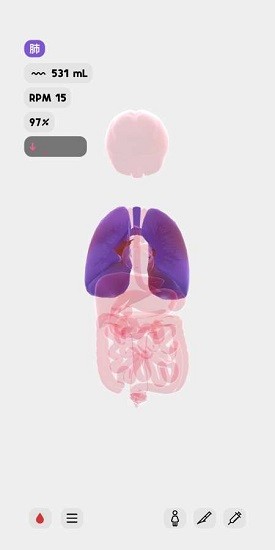 生命人体模拟器中文版下载-生命人体模拟器汉化破解版