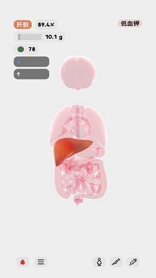生命人体模拟器中文版下载-生命人体模拟器汉化破解版