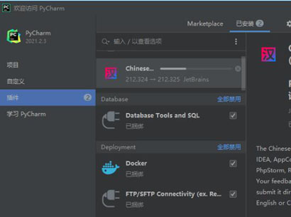 JetBrains中文语言包插件2021下载-JetBrains中文语言包插件2021最新版