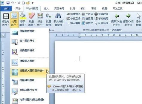 word精灵破解版下载-word精灵电脑版下载