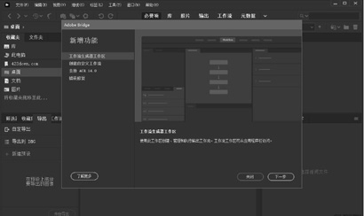 Bridge2022中文免费版下载-Bridge2022中文破解版