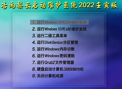 杏雨梨云启动维护系统2022壬寅版-杏雨梨云启动维护系统2022元旦版下载