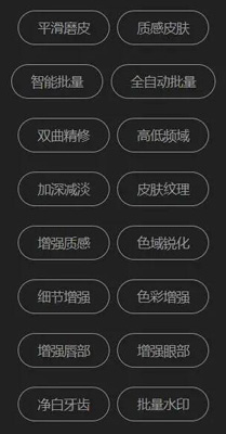PS至臻版DMX磨皮插件大全下载