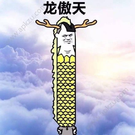 抖音王大美我选三号留灯原视频
