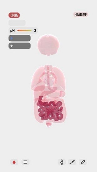 生命人体模拟器中文版下载