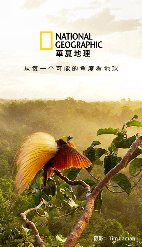 快手原片软件苹果版免费版