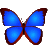 
bkViewer中文版 v6.0h