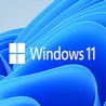 
Windows11 v21H2
