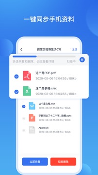 数据恢复王清爽版