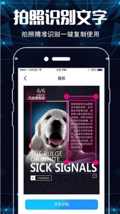 奇妙百变主题清爽版