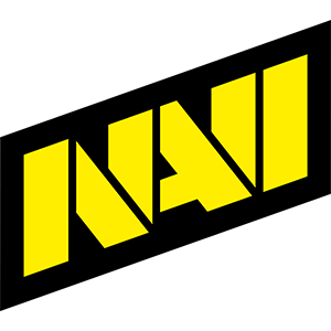 HLTV颁奖典礼：年度最佳战队——NAVI