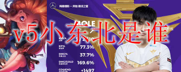 探寻V5战队中神秘的ADC小东北，揭示其背后的故事与荣耀