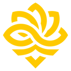 NRG和Legacy成功晋级IEM达拉斯站